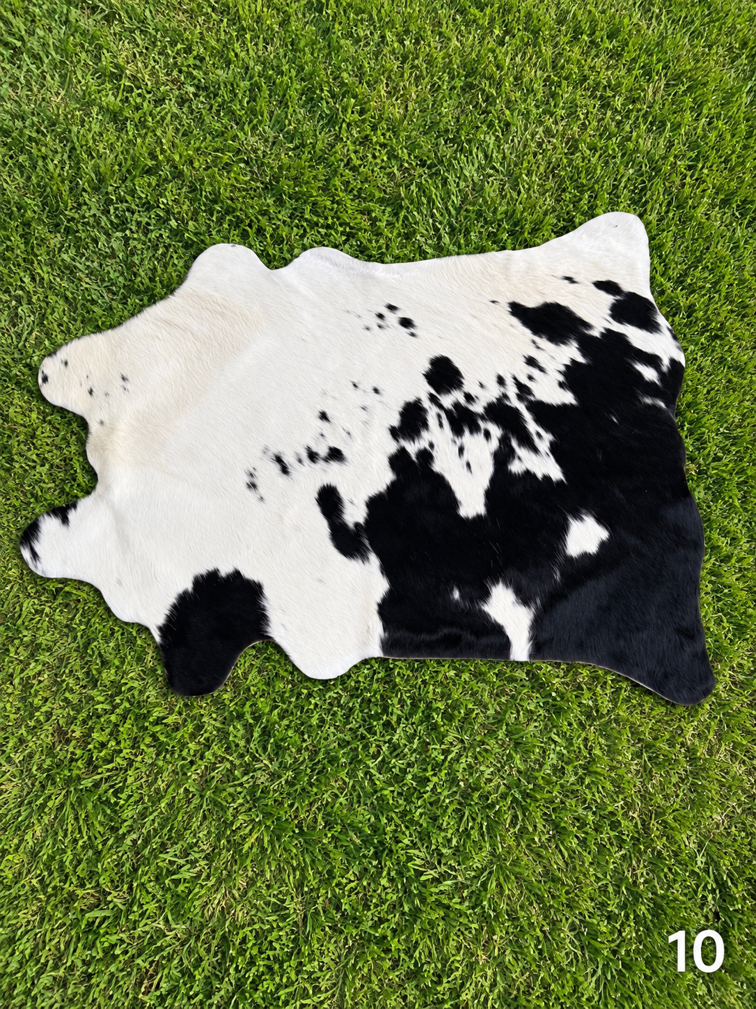Decorative / Customizable Cowhides #10