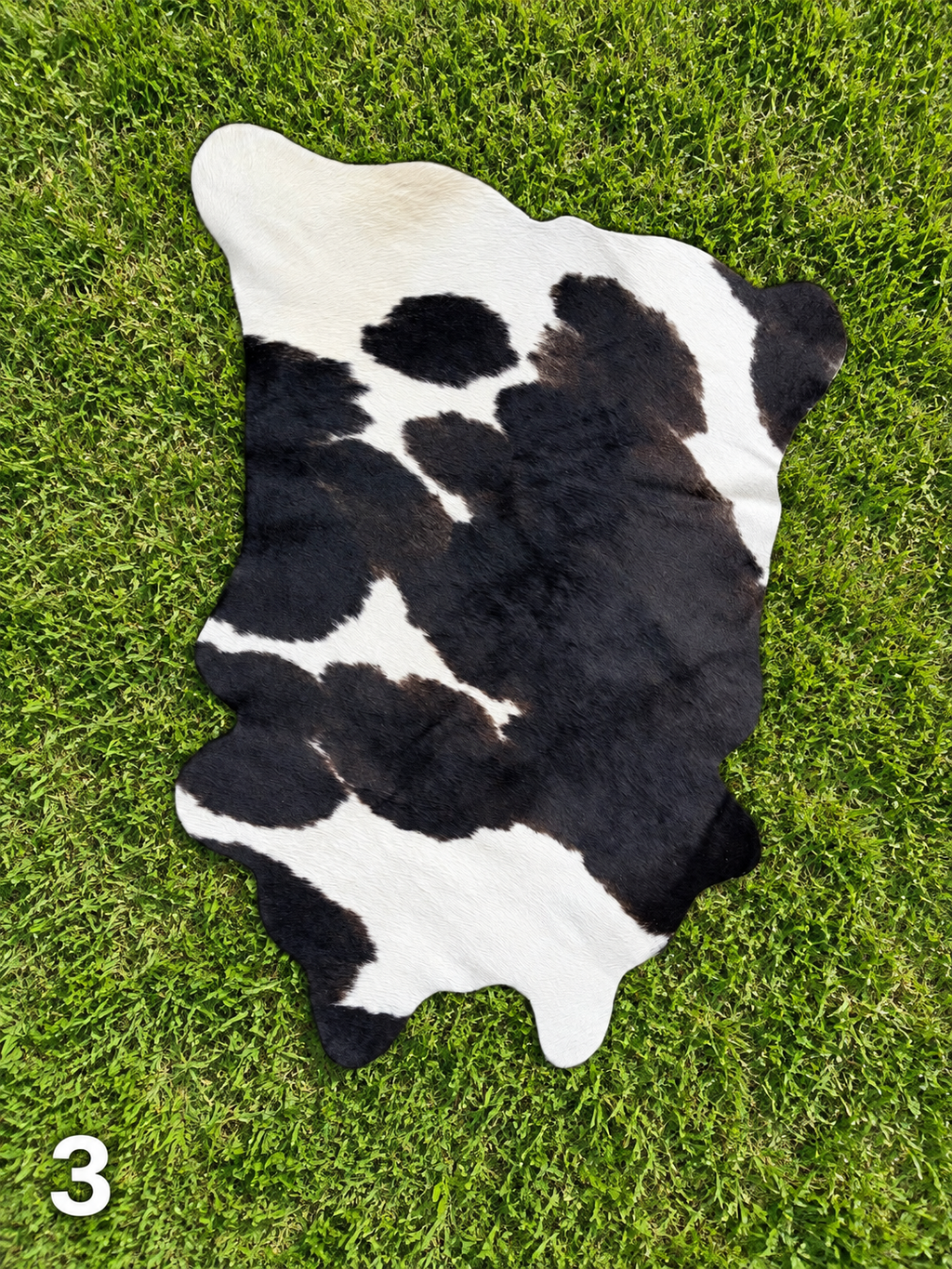 Decorative / Customizable Cowhides  # 3