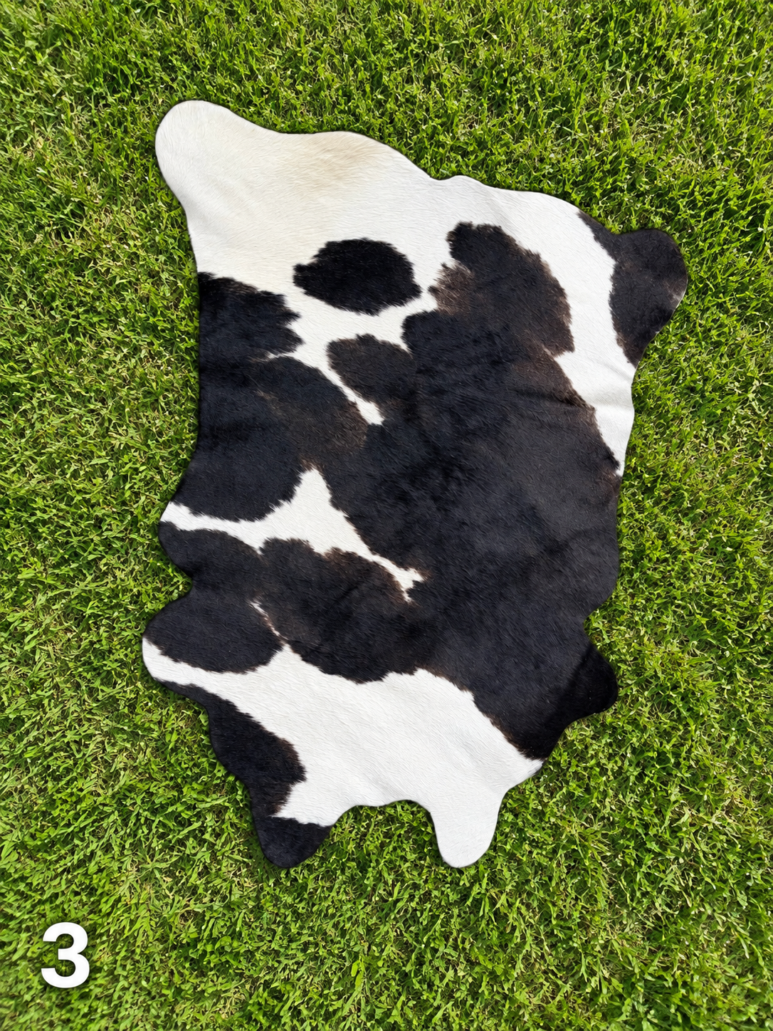 Decorative / Customizable Cowhides  # 3