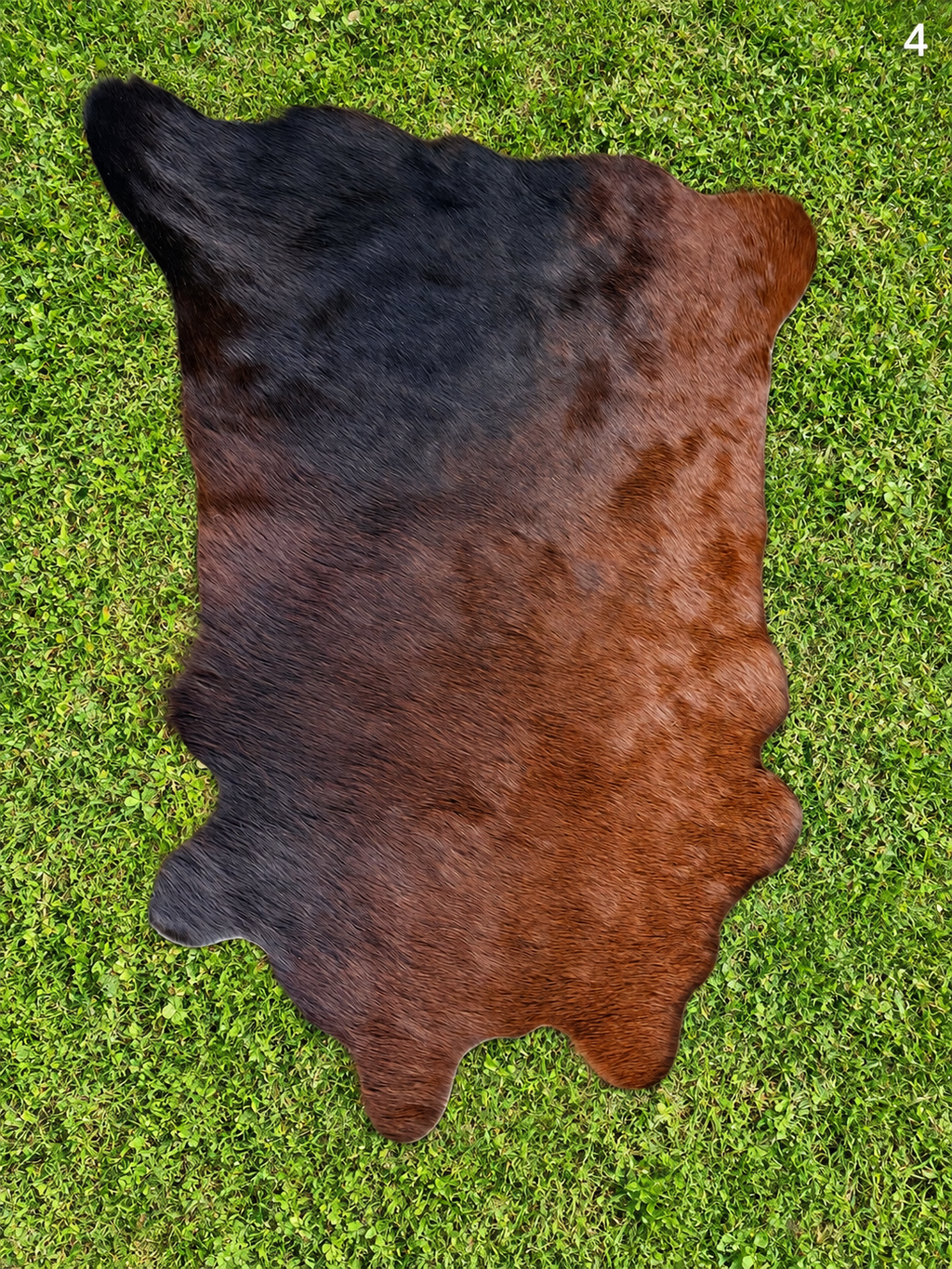 Decorative / Customizable Cowhides #4