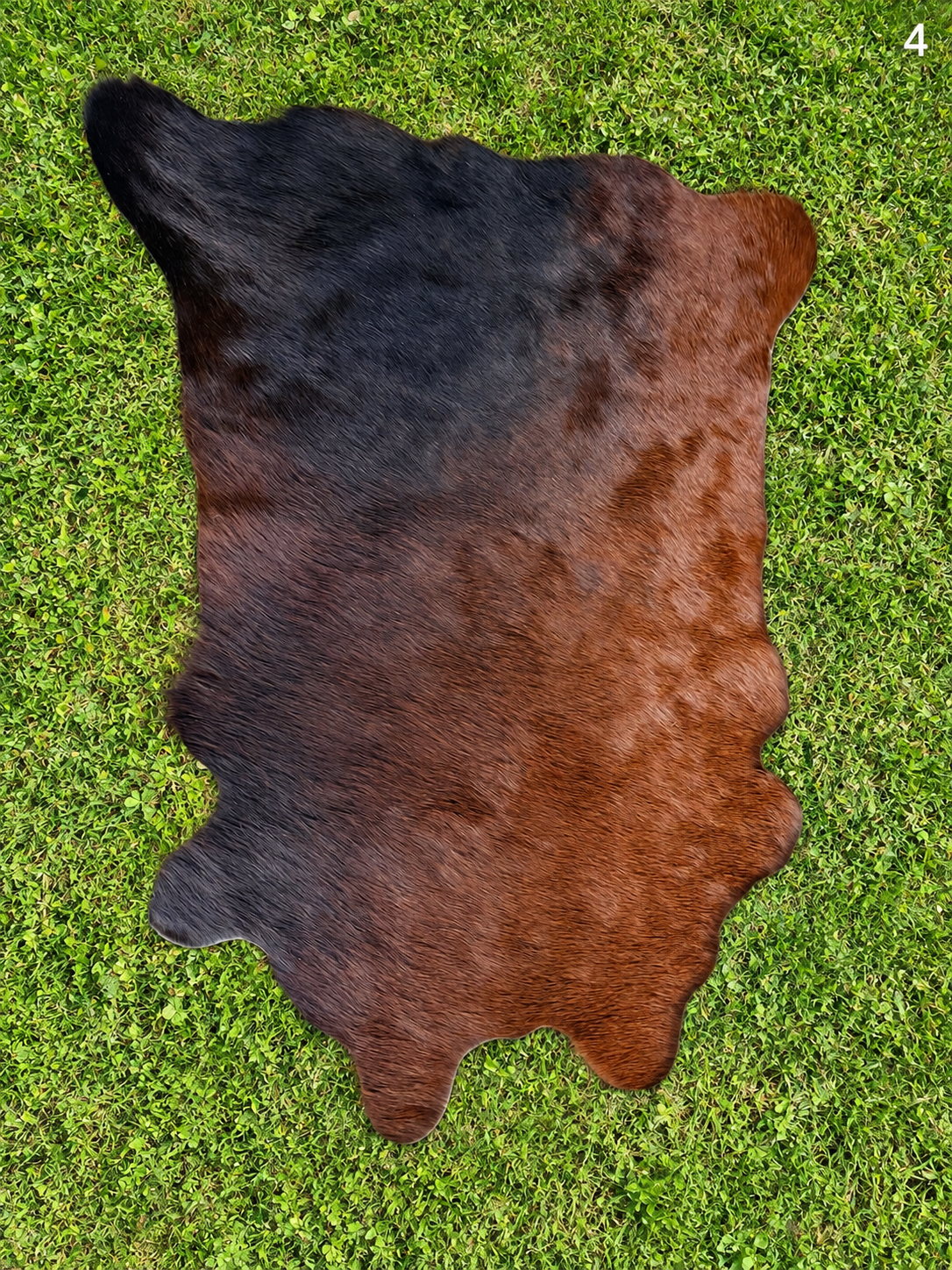 Decorative / Customizable Cowhides #4