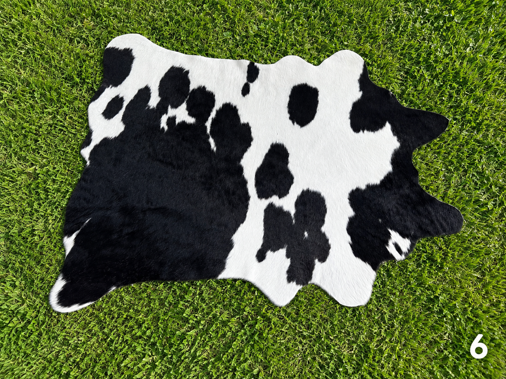 Decorative / Customizable Cowhides  #6  **Small through hide blemish** REDUCED