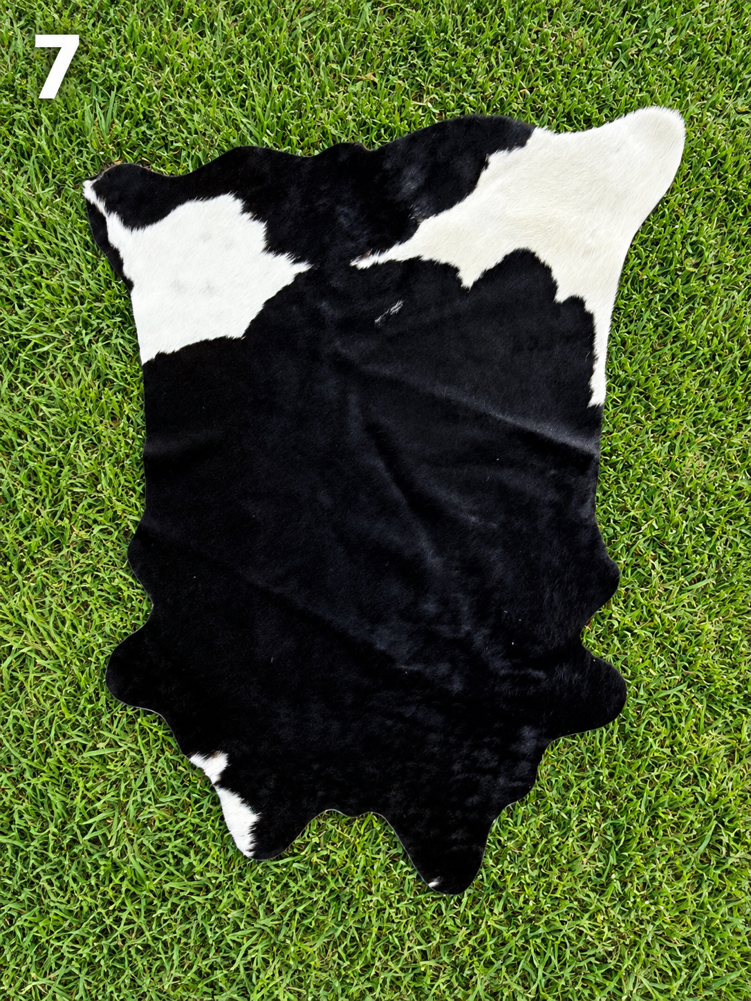Decorative / Customizable Cowhides #7
