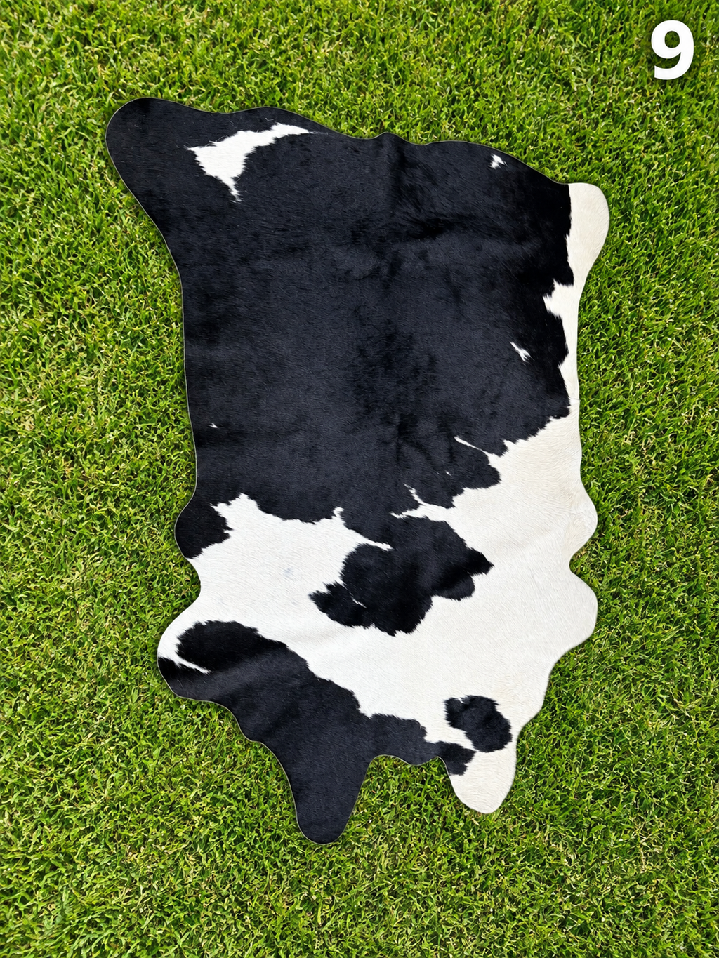 Decorative / Customizable Cowhides #9