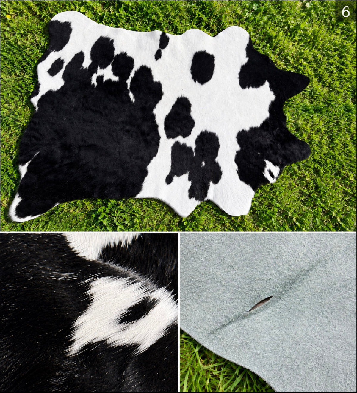 Decorative / Customizable Cowhides  #6  **Small through hide blemish** REDUCED