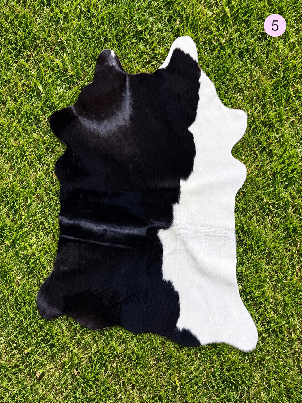 Decorative / Customizable Cowhides #5